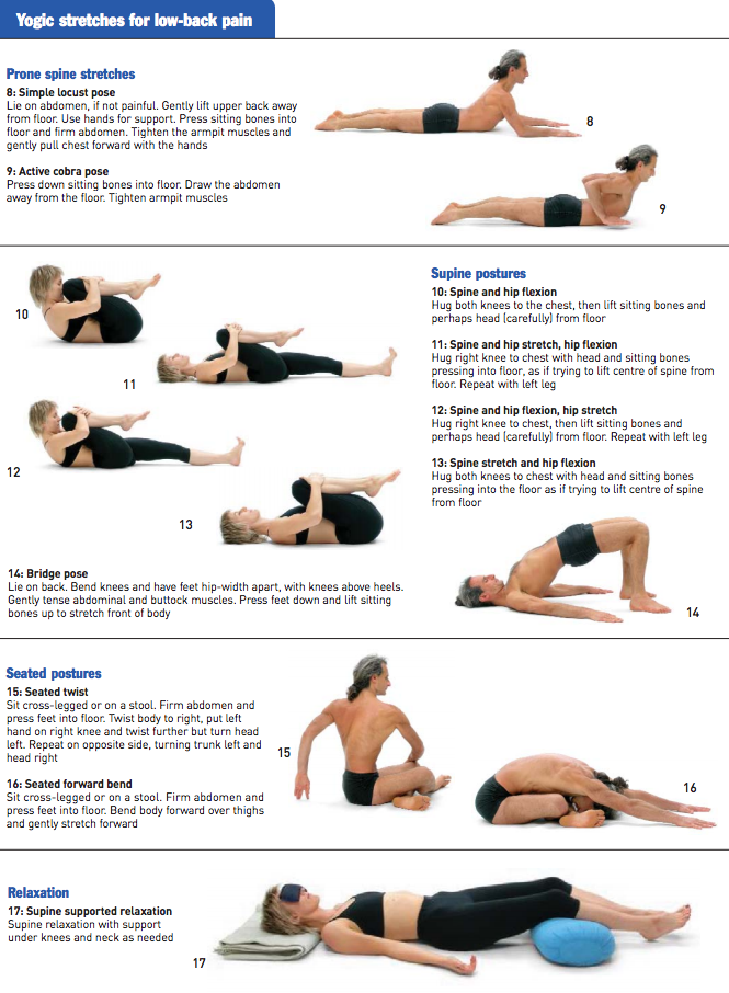 best yoga poses for lower back pain BNsT8Cix