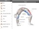 Anatomy Of Yoga Poses