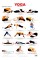 Beginner Yoga Poses Chart