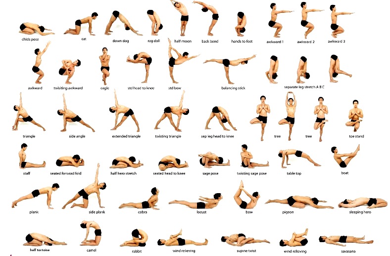 Best Yoga Poses Sanskrit