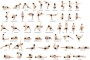 Yoga Poses Names And Benefits