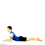 Sphinx Pose – Chest Opening Yoga Poses