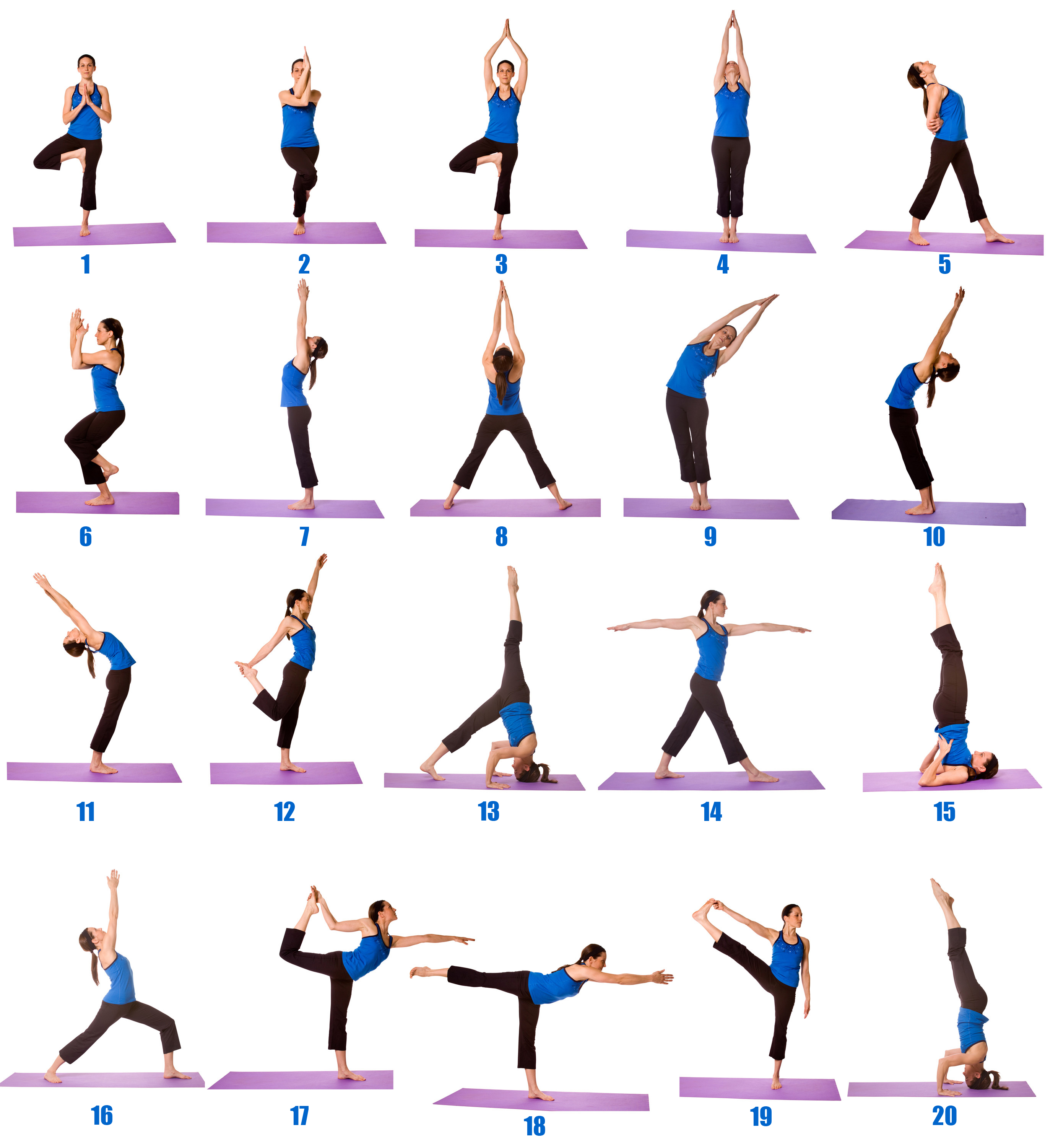 Easy Yoga Poses For Beginners  International Society of Precision