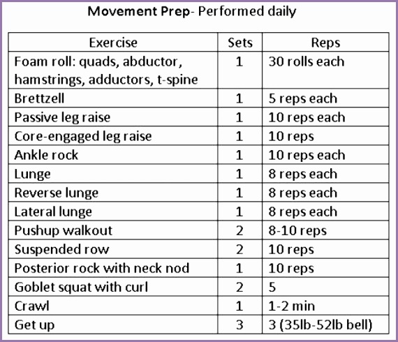 mike marcinek MMA and BJJ fitness workouts mobility