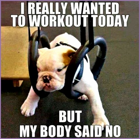 Funny Fitness Quote 14 Picture Quote 1