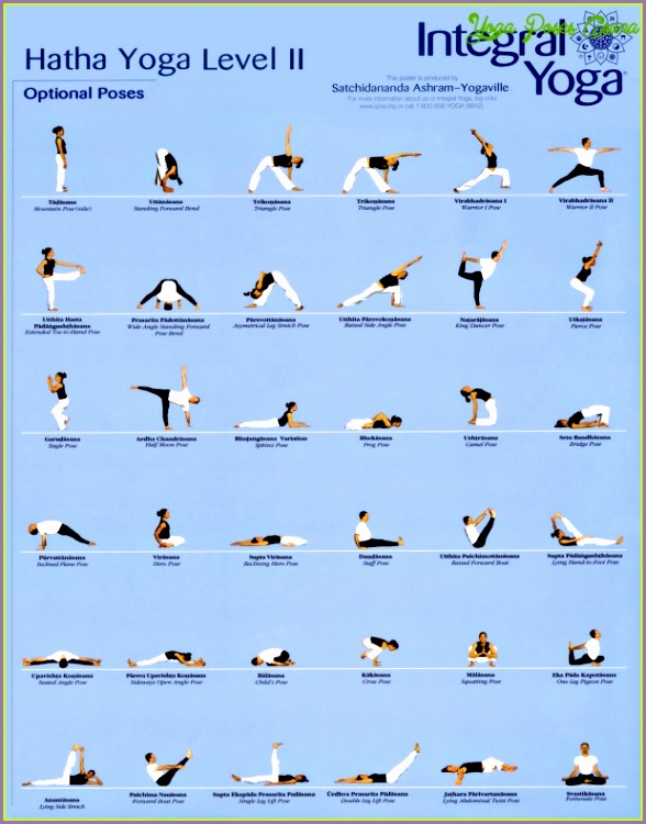 easy hatha yoga poses 22