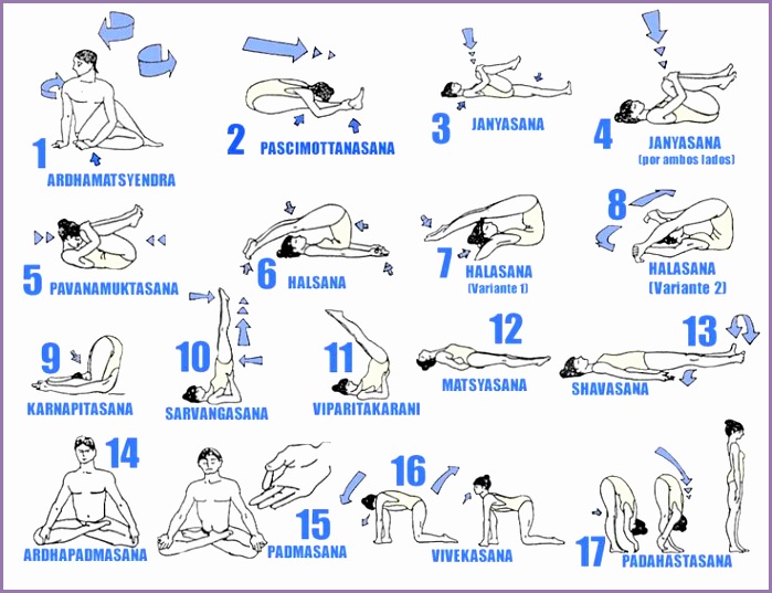 d2bb abe5ffe431cb0aa2a2bdee hatha yoga poses yoga sequences