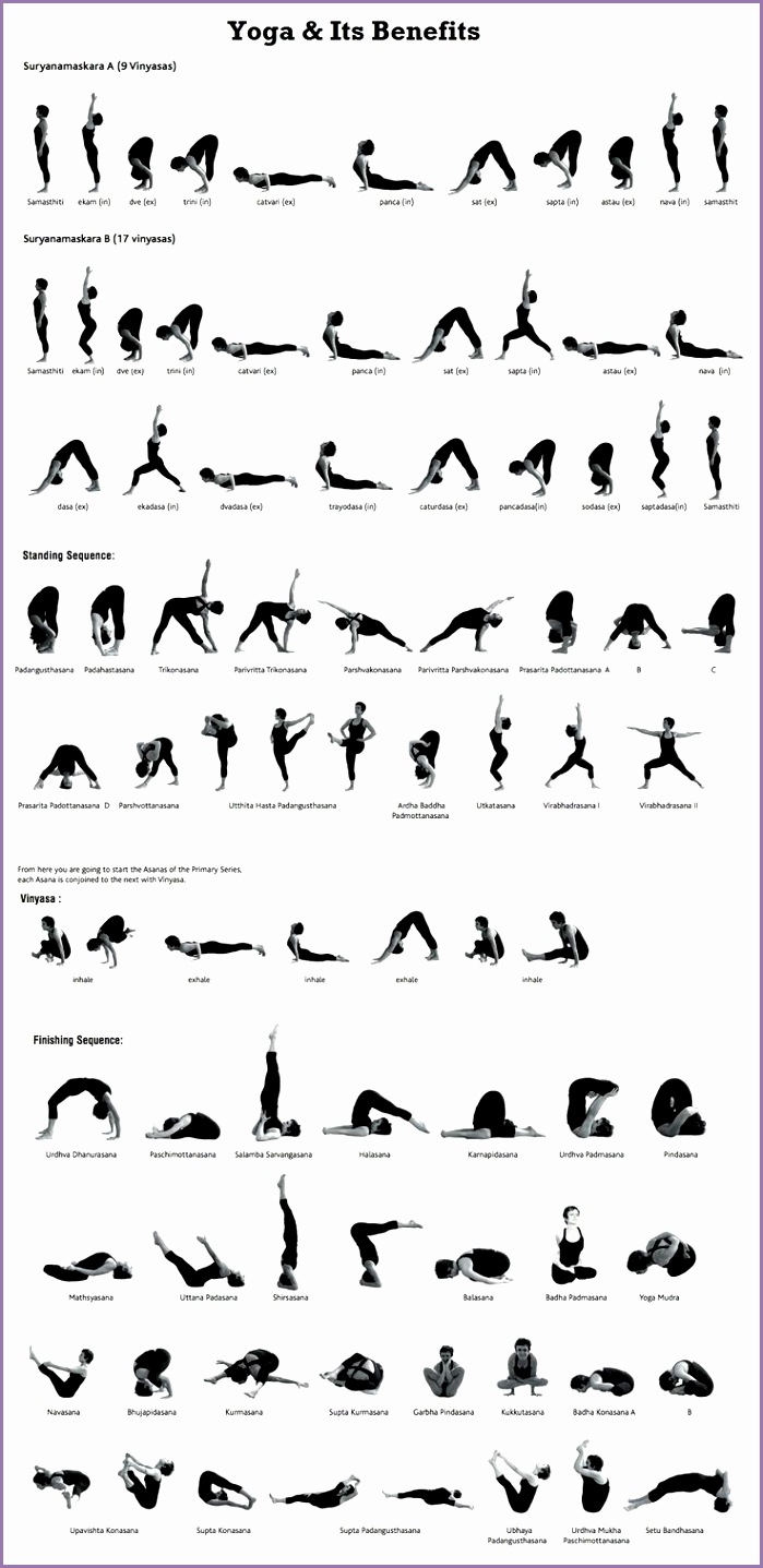 26bf321bbe62ae030d b b9 yoga vinyasa yoga postures