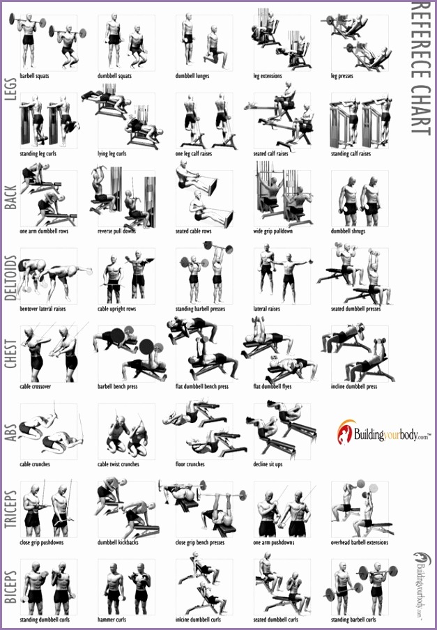 Free Gym Workouts For Women to receive muc h more exercises and val uable workout info by email My daily workouts Pinterest