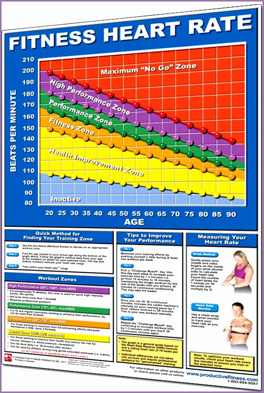 Productive Fitness Laminated Exercise Chart for Fitness Heart Rate Zones