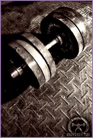 Search Results for “powerlifting wallpaper iphone” – Adorable Wallpapers