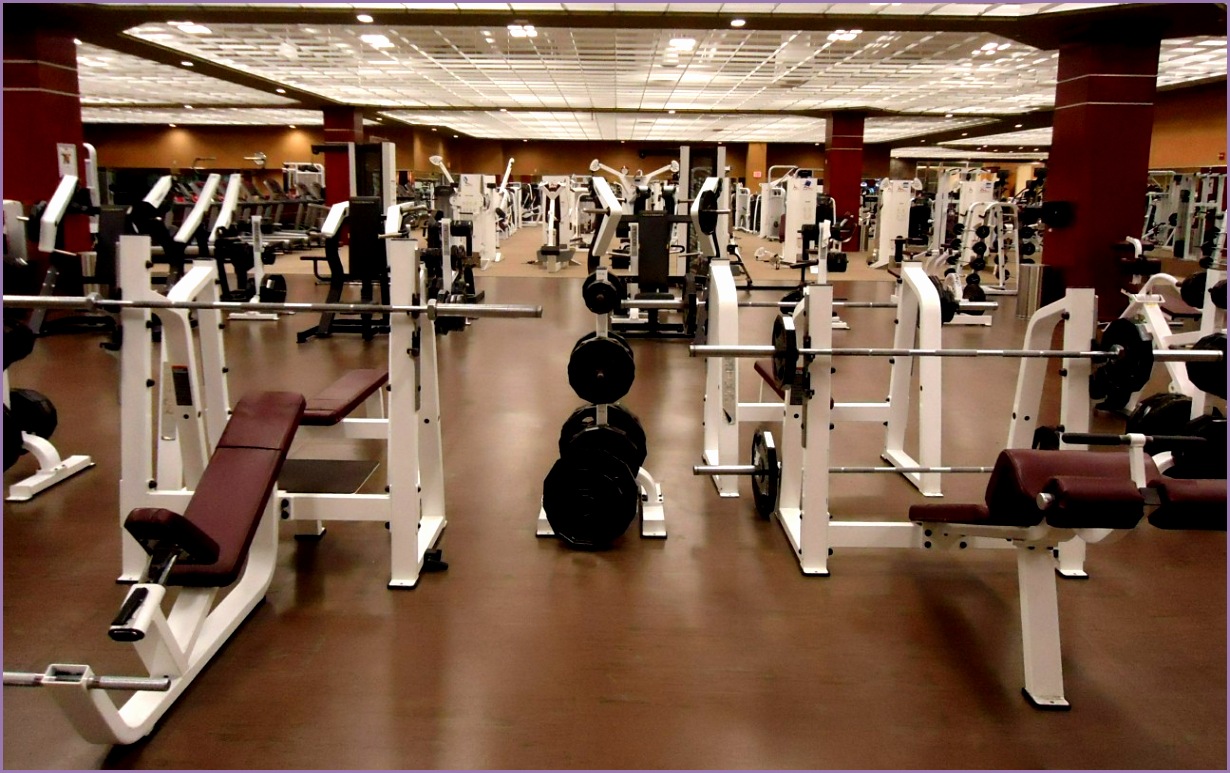 Berkeley Heights NJ weight room