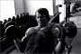 6 Arnold Schwarzenegger Bodybuilding Wallpapers Posters and Pictures
