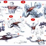 5  Bodybuilding Chest Exercises