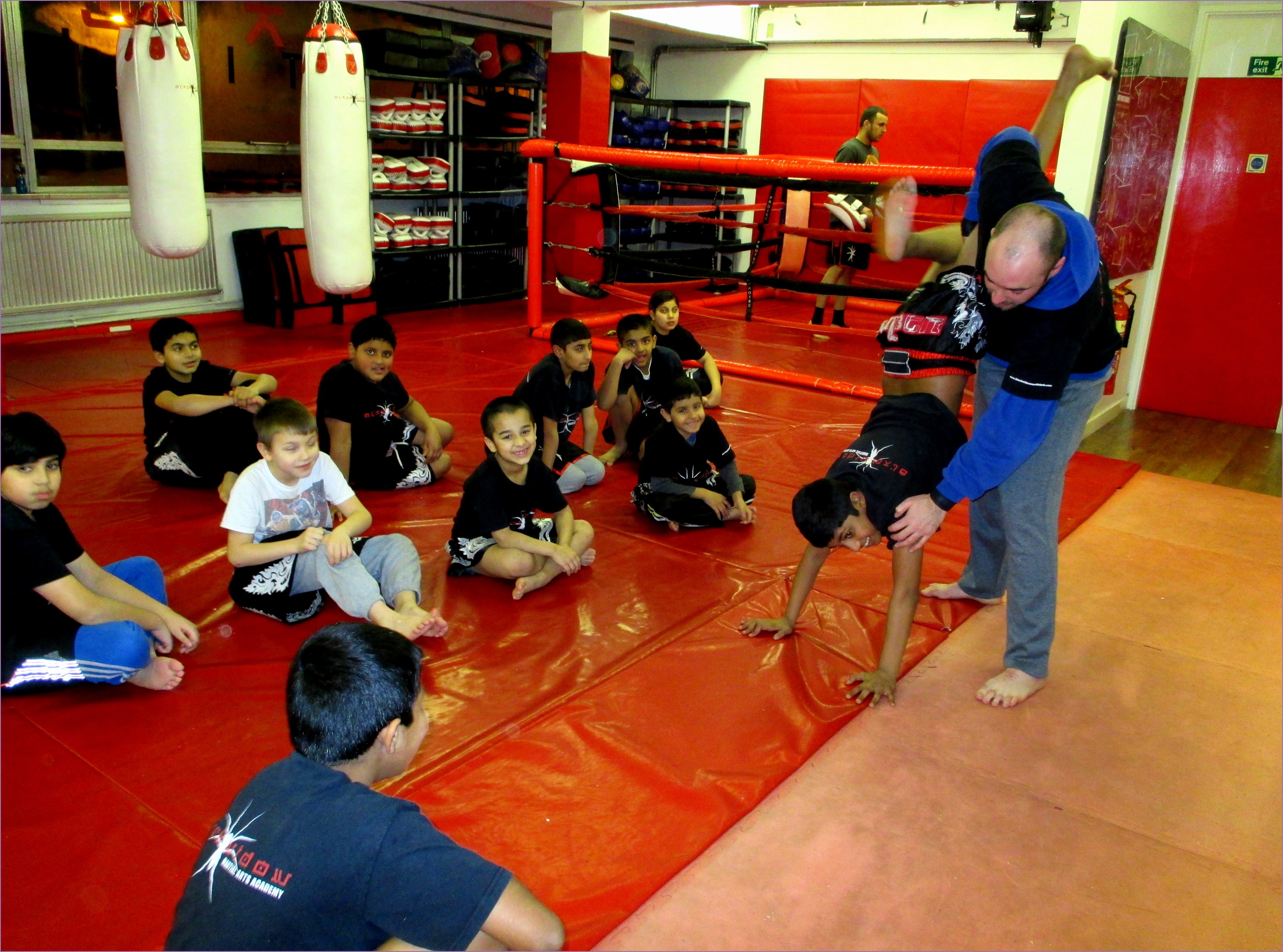 mixed martial arts classes birmingham