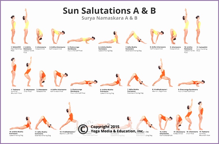 sun salutations a b poster of yoga poses