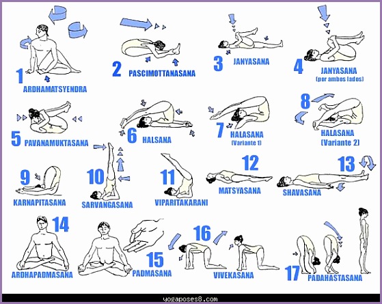 hatha yoga positions