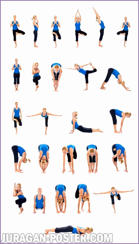 jual poster gambar pose yoga dan asanas