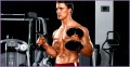 Big Biceps Workout