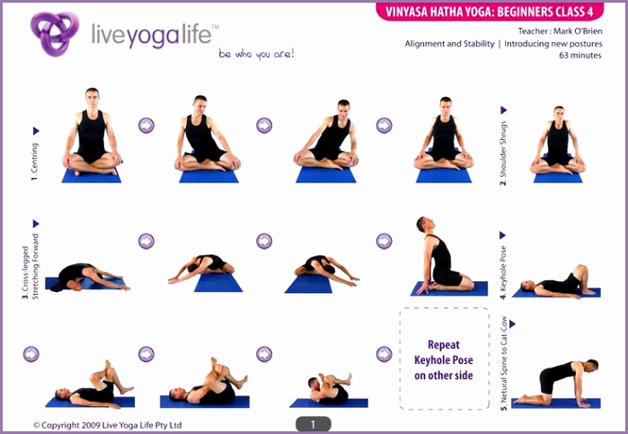 hatha yoga poses