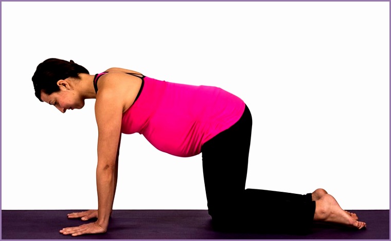 cat pose ideal for pregnant women practicing prenatal yoga