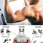 Long Head Bicep Exercises – Get Bigger And Stronger Arms In 2023!