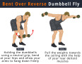Getting Fit With Bent Over Reverse Fly Exercise