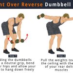 Getting Fit With Bent Over Reverse Fly Exercise