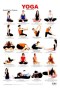 Basic Beginner Yoga Poses