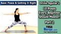 Basic Yoga Poses For Beginners Video