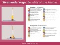 Yoga Poses Benefits