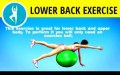 Yoga Poses For Back Pain Pdf