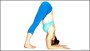 Dolphin Pose – Core Yoga Poses