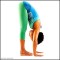 Standing Forward Bend – Forward Bend Yoga Poses