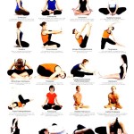 basic yoga poses for beginners with pictures