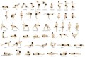 Names For Yoga Poses