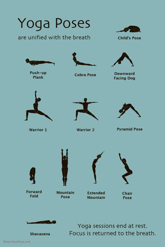 Yoga Poses For Beginners Pictures - Work Out Picture Media - Work Out