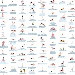 yoga poses for beginners with pictures