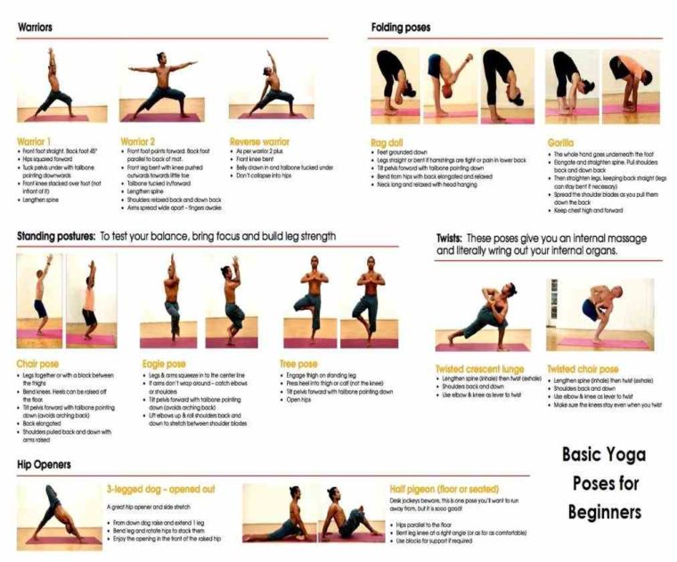 basic positions to warm up for your first studio class here - Work Out ...