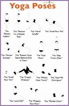 yoga poses for beginners at home chart Google Search