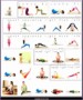 5  Beginner Yoga Positions
