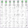 4 Bodybuilding Exercises Chart Free Download