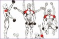 6 Bodybuilding Exercises Pictures and Names