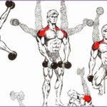 6 Bodybuilding Exercises Pictures and Names