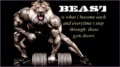8 Bodybuilding Quotes Animal