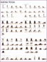 5 Hatha Yoga Poses Pictures