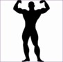 4 Muscle Silhouette