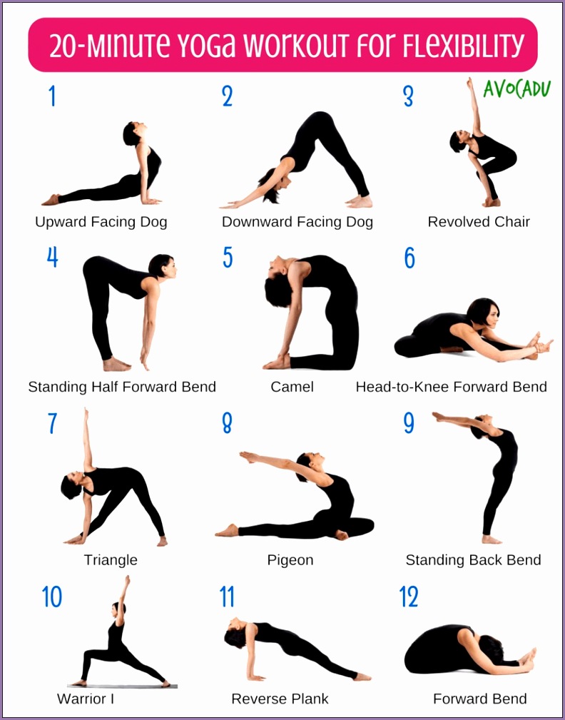 20 Minute Beginner Yoga Workout Routine for Flexibility