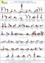 4 Yoga Sequence