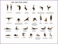 5  About Yoga Poses